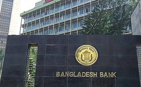 তিন দিন বন্ধ থাকার পর চালু হলো বাংলাদেশ ব্যাংকের ওয়েবসাইট