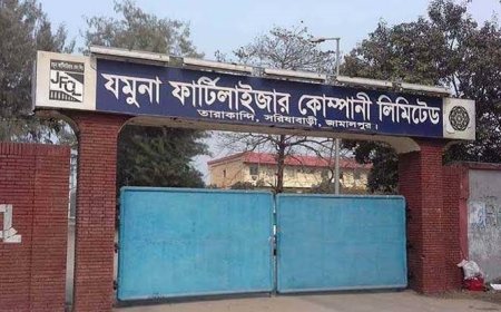 গ্যাস সংকটে আবারও বন্ধ যমুনা সার কারখানার উৎপাদন
