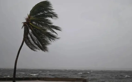বঙ্গোপসাগরে ঘূর্ণিঝড়ের শঙ্কা, বুধবার অন্ধ্র উপকূলে আঘাতের সম্ভাবনা