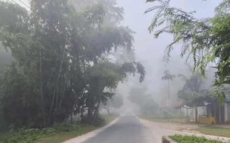 তেঁতুলিয়ায় বাড়ছে শীতের অনুভূতি, সর্বনিম্ন তাপমাত্রা ১৫.৪ ডিগ্রি